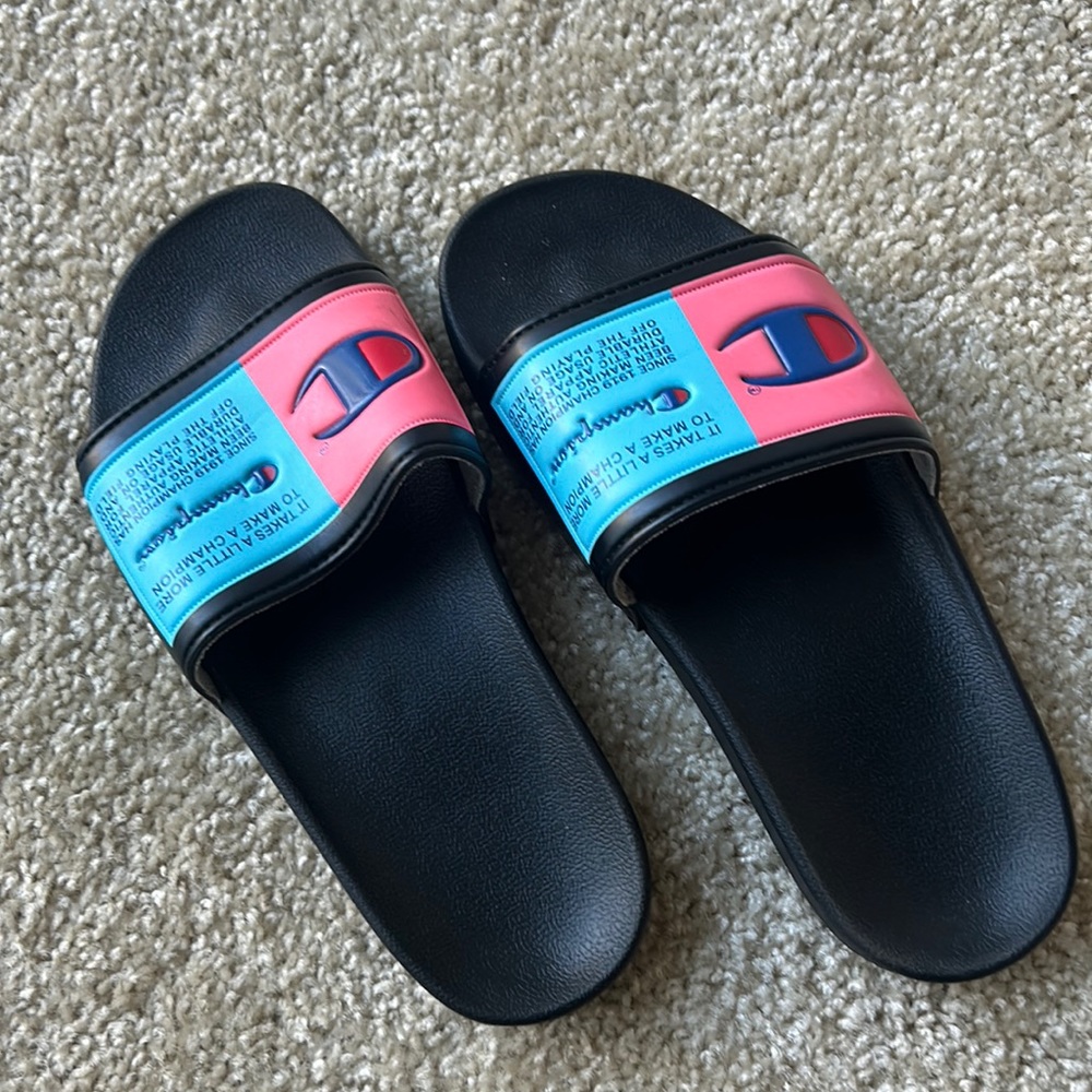 Champion slides - Picture 2 of 3
